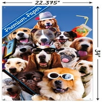 Джеймс Букър - Плакат за стена на кучетата с бутилки, 22.375 34