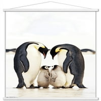 Група за стенен плакат на император Penguins с дървена магнитна рамка, 22.375 34