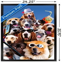Джеймс Букър-Селфи Плакат За Куче, 22.375 34