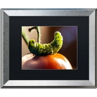 Търговска марка изобразително изкуство гъсеница и домат платно изкуство от Джейсън Шафър, Черен мат, сребърна рамка