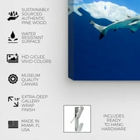 Уинууд студио морска и Крайбрежна стена платно отпечатъци 'Черна рифова акула отдолу от Дейвид Флийтъм' Морски Живот-сиво, синьо