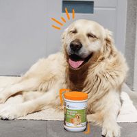 Пробиотици за кучета - Естествена пробиотична добавка с пребиотици, облекчение от диария, суха и сърбеж на кожата, газ, запек,