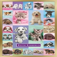 Кийт Кимбърлин - Плакат за стена на кученца и котета, 22.375 34