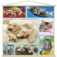 Кийт Кимбърлин - Плакат за стена на кученца и котета с магнитна рамка, 22.375 34